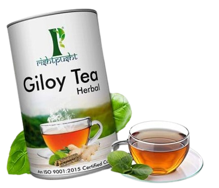 giloy removebg preview